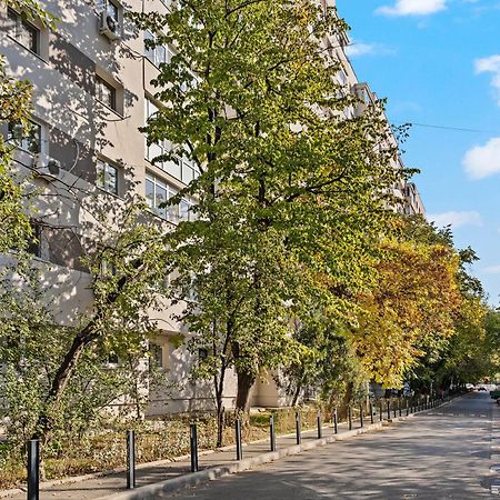 Garsoniera De Lux Si Eleganta Drumul Taberei Bükreş Dış mekan fotoğraf